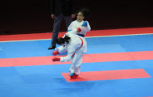 Championnats d'Europe 2016 - MONTPELLIER -