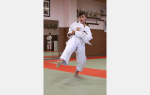 Stage Départemental Katas - 8/10/2016 - RODEZ