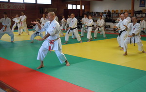 Stage Départemental - Expert fédéral - Serge SERFATI CN8ème - RODEZ -20 Novembre 2016
