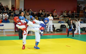 Championnat Départemental Katas et Challenge Conseil Départemental Aveyron Kumite -
