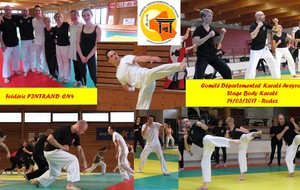 Stage Départemental BODY KARATE - 19/03/2017 à RODEZ - dirigé par Frédéric PINTRAND CN4ème