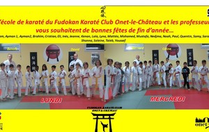 L'école de karaté vous souhaite de bonnes fêtes de fin d'année...