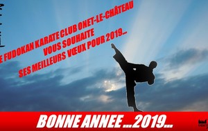 Voeux 2019