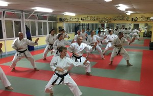 Objectifs grades et compétitions techniques pour les karatékas