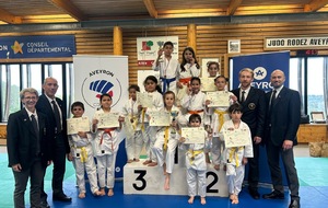 Challenge Départemental Aveyron Katas Débutants et Gradés Poussins à Seniors - 12/04/2026 RODEZ