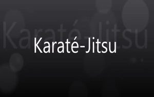 karaté jitsu1
