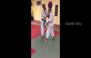 karaté jitsu6