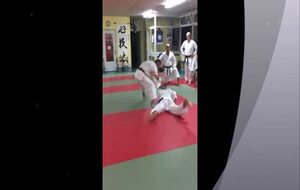karaté jitsu5