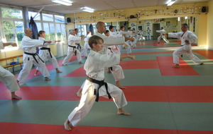 Reprise des cours karaté adultes (tous grades)