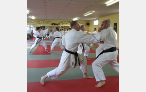 Reprise des cours karaté adultes (tous grades)