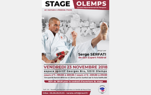 Stage Départemental  Karaté - Expert Fédéral - Serge SERFATI CN8ème - en mémoire à Pascal FILOE