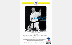 Stage Fédéral Combats - Alexandre BIAMONTI CN6 - Entraîneur National Jeunes