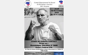 Stage Départemental Karaté Contact avec Dominique VALERA CN9ème