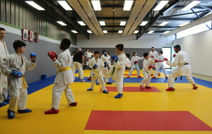 Stage Départemental Combats Enfants dirigé par Lionel Frézal CN4 - le 25 Mars 2023