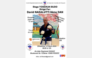 Stage Départemental Yoseikan Budo dirigé par David NADALUTTI CN6ème - Expert Régional