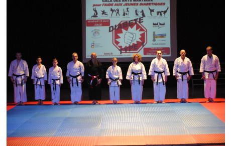 Gala des Arts Martiaux pour l'aide aux Jeunes Diabétiques Type1 (album photos)