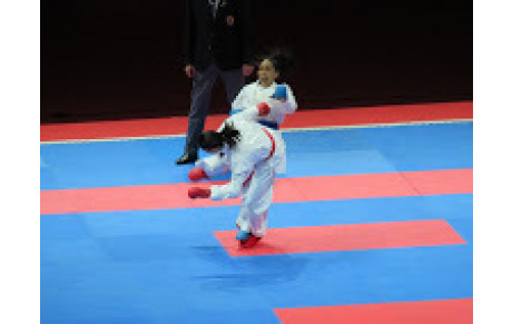 Championnats d'Europe 2016 - MONTPELLIER -