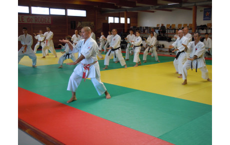 Stage Départemental - Expert fédéral - Serge SERFATI CN8ème - RODEZ -20 Novembre 2016