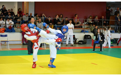 Championnat Départemental Katas et Challenge Conseil Départemental Aveyron Kumite -