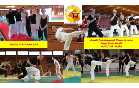 Stage Départemental BODY KARATE - 19/03/2017 à RODEZ - dirigé par Frédéric PINTRAND CN4ème