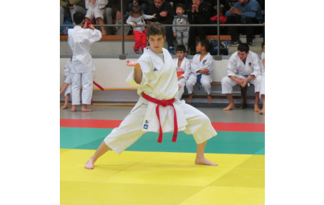 Championnat Départemental Katas et Challenge Conseil Départemental Aveyron Kumite -