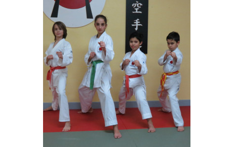 Coupe Elite Combats ZID Midi-Pyrénées Pupilles/Benjamins - Toulouse