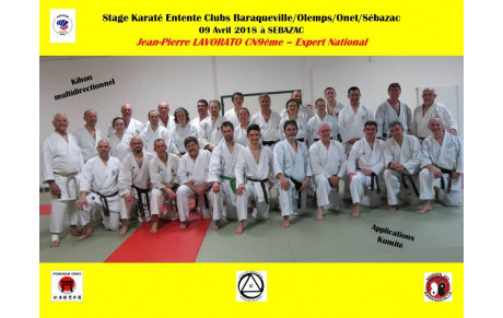 Stage Karaté Entente Clubs Baraqueville/Olemps/Onet/Sébazac 2018