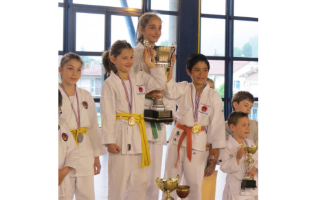 Challenge Conseil Départemental Aveyron Katas 2018 - St AFFRIQUE -