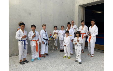 Dernier cours de l'Ecole de Karaté